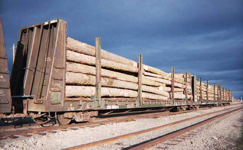 Shipping Lumber